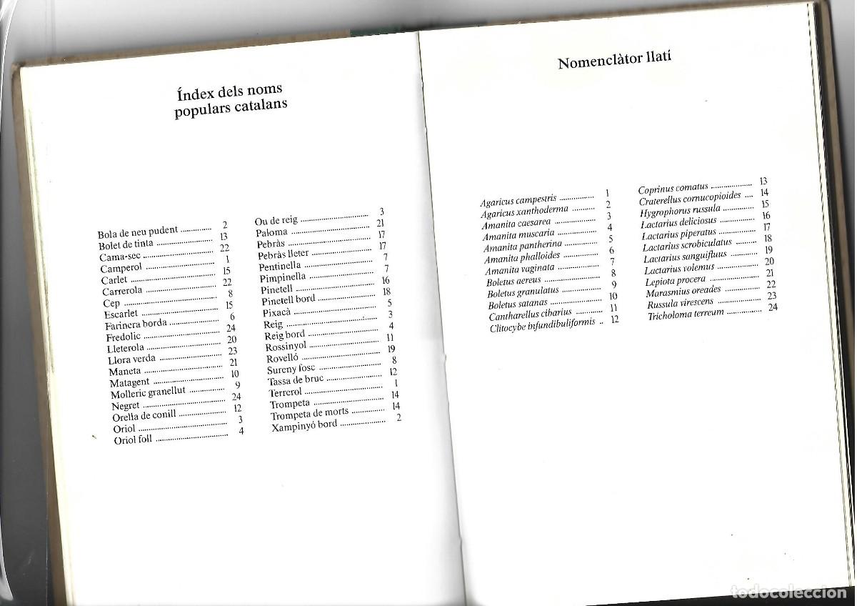 Libros de segunda mano: LIBRO ANEM A BUSCAR BOLETS - Foto 2