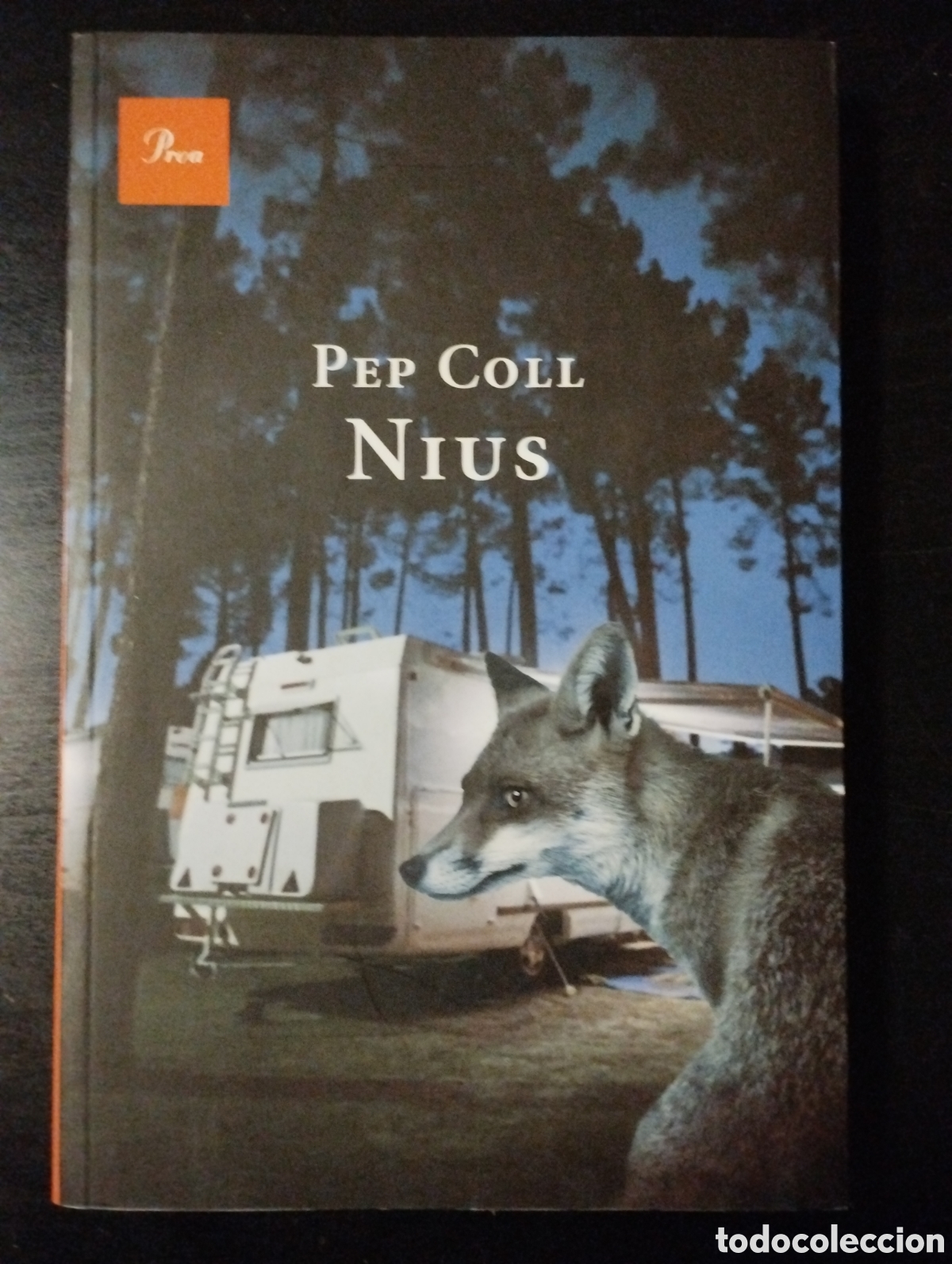 Libros de segunda mano: Pep Coll - Nius. Proa. 1&ordf; edici&oacute;. Catal&agrave; - Foto 1