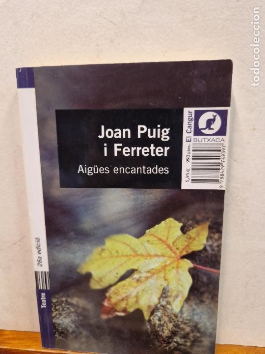 Aigües encantades by Joan Puig i Ferreter