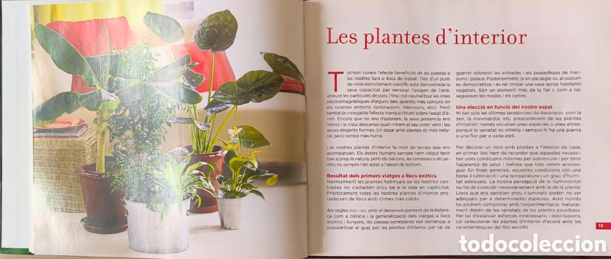 Libros de segunda mano: Con&egrave;ixer les nostres plantes - Foto 2