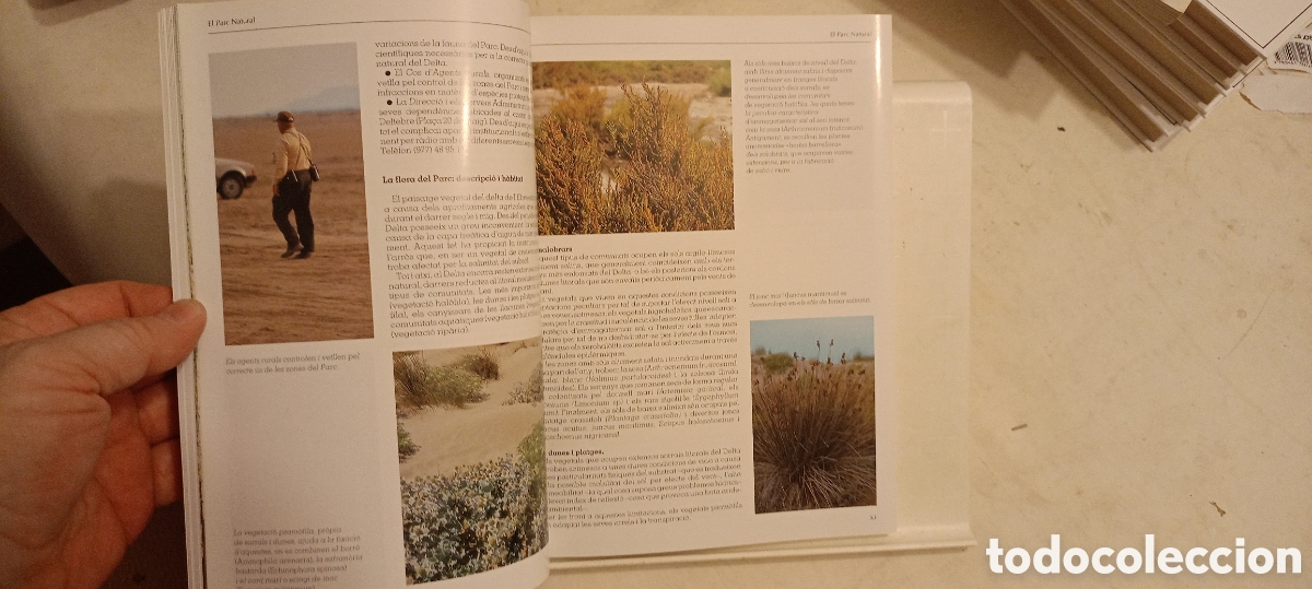 Libros de segunda mano: EL DELTA DE lEBRE i el seu parce natural - Foto 3