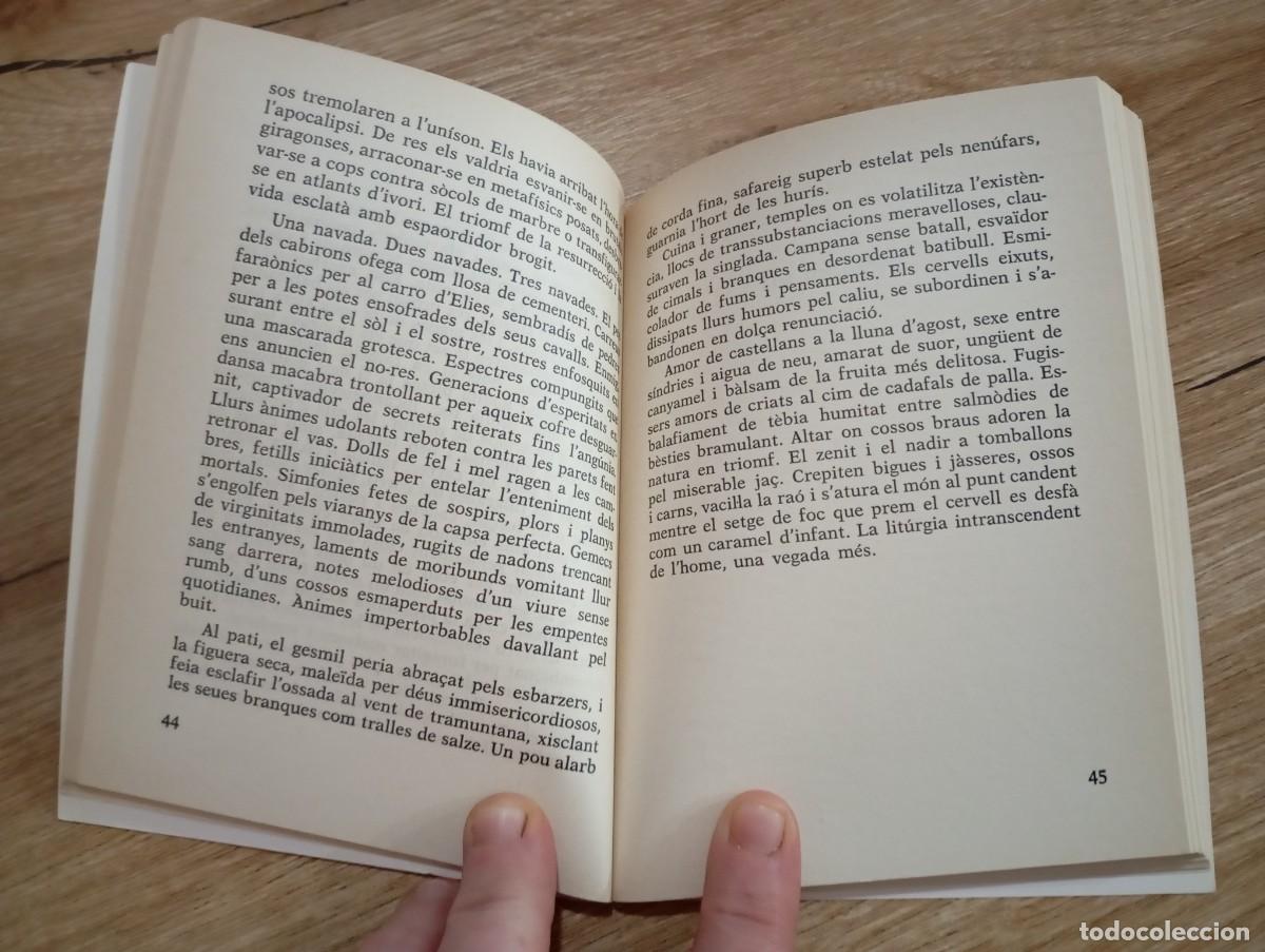 Libros de segunda mano: Guia de forasters Vicent Ribes - Foto 3