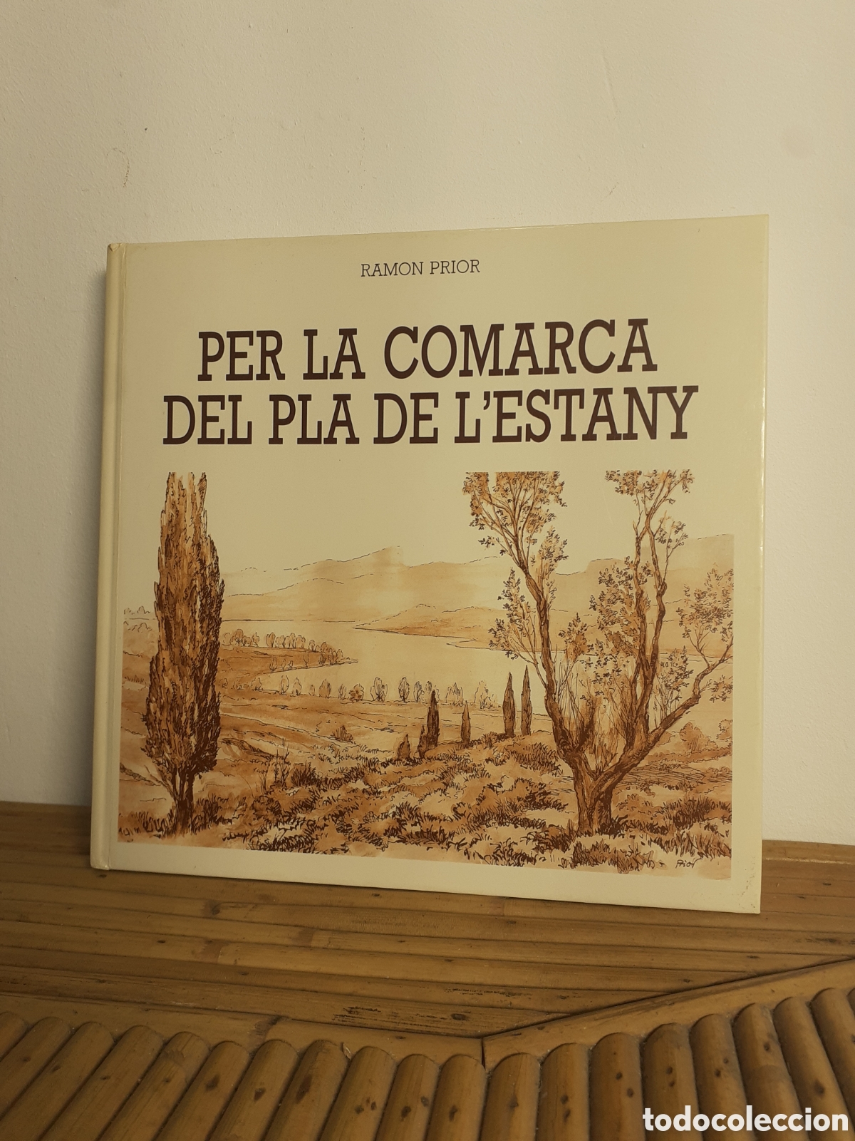 Libros de segunda mano: PER LA COMARCA DEL PLA DE LESTANY - RAMON PRIOR - Foto 1
