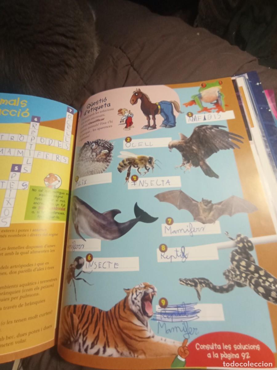 Libros de segunda mano: Sab&eacute;is que? El meu llibre de curiositats - Foto 7