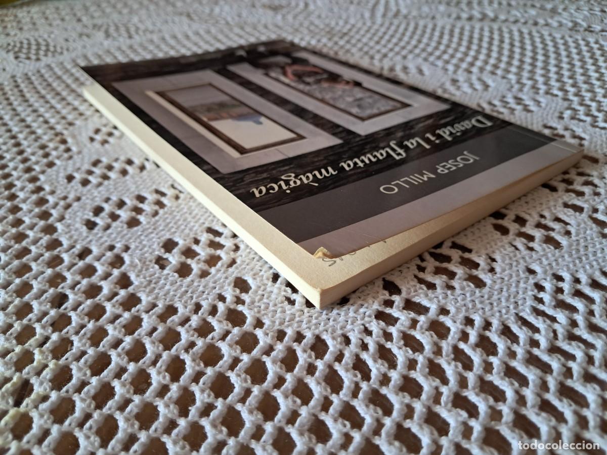 Libros de segunda mano: David i la flauta m&agrave;gica Josep Millo - Foto 6