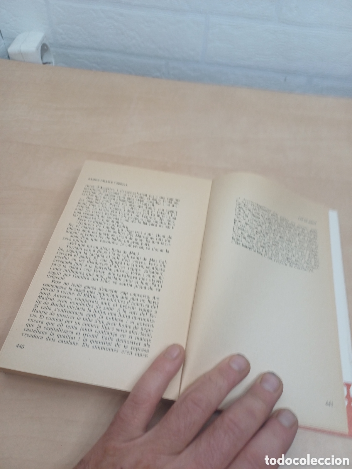 Libros de segunda mano: LIBRO, CAP DE BROT, RAMON PALLIC&Eacute; - Foto 9