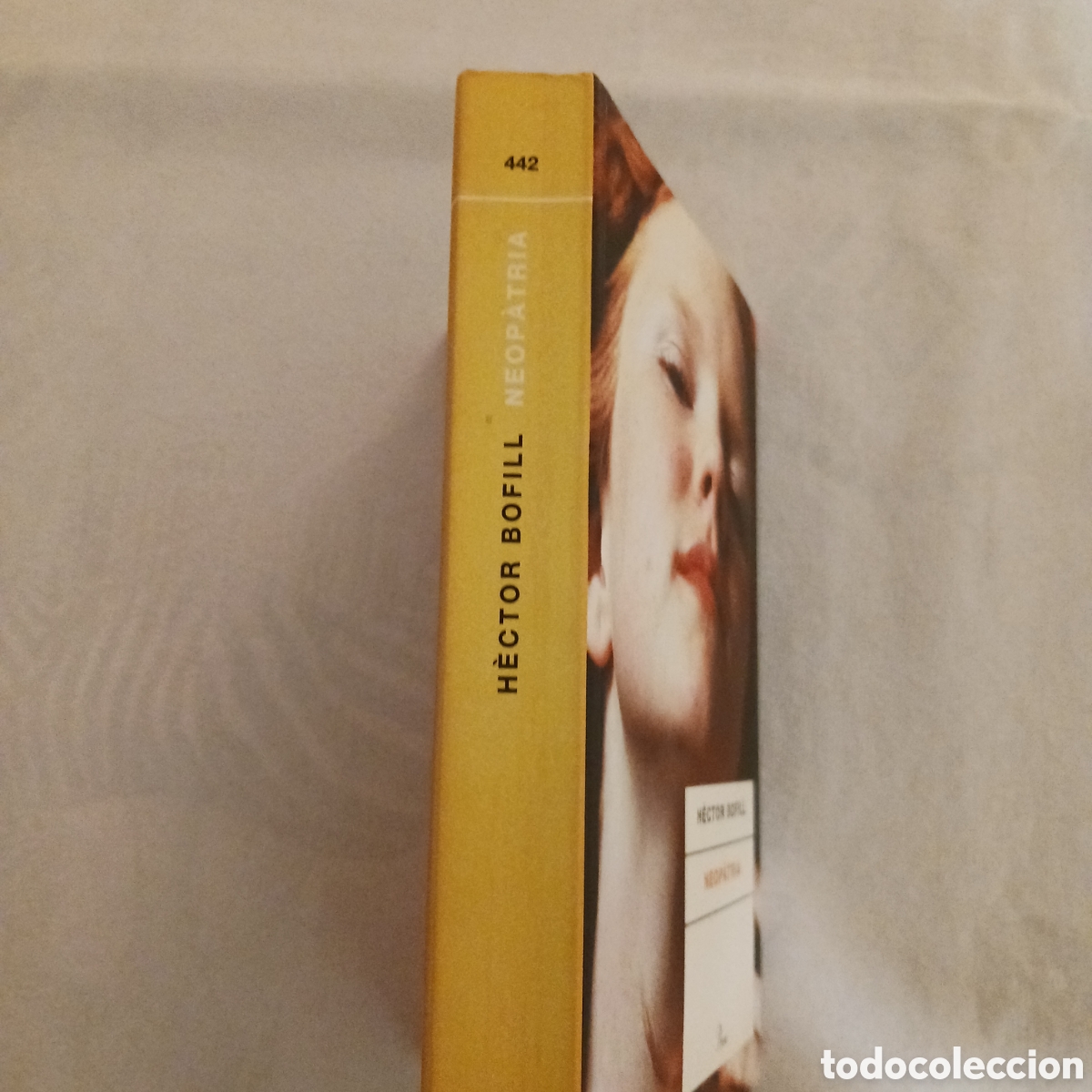 Libros de segunda mano: Neopatria de H&eacute;ctor Bofill - Foto 2