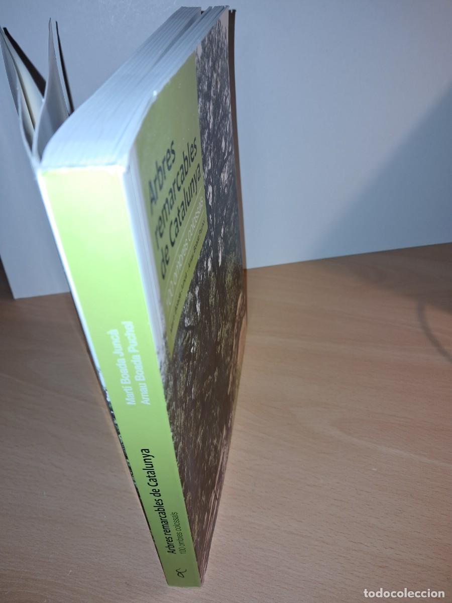 Libros de segunda mano: Llibre: Arbres remarcables de Catalunya de Mart&iacute; Boada - Foto 3