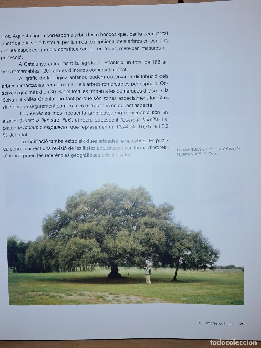 Libros de segunda mano: Llibre: Arbres remarcables de Catalunya de Mart&iacute; Boada - Foto 5