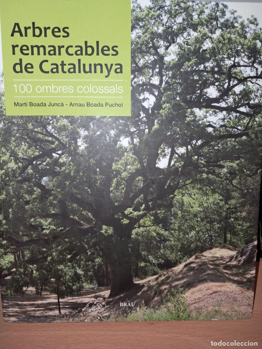 Libros de segunda mano: Llibre: Arbres remarcables de Catalunya de Mart&iacute; Boada - Foto 1