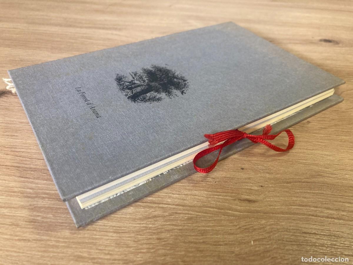Libros de segunda mano: La Forest dArana 1991 - Foto 4