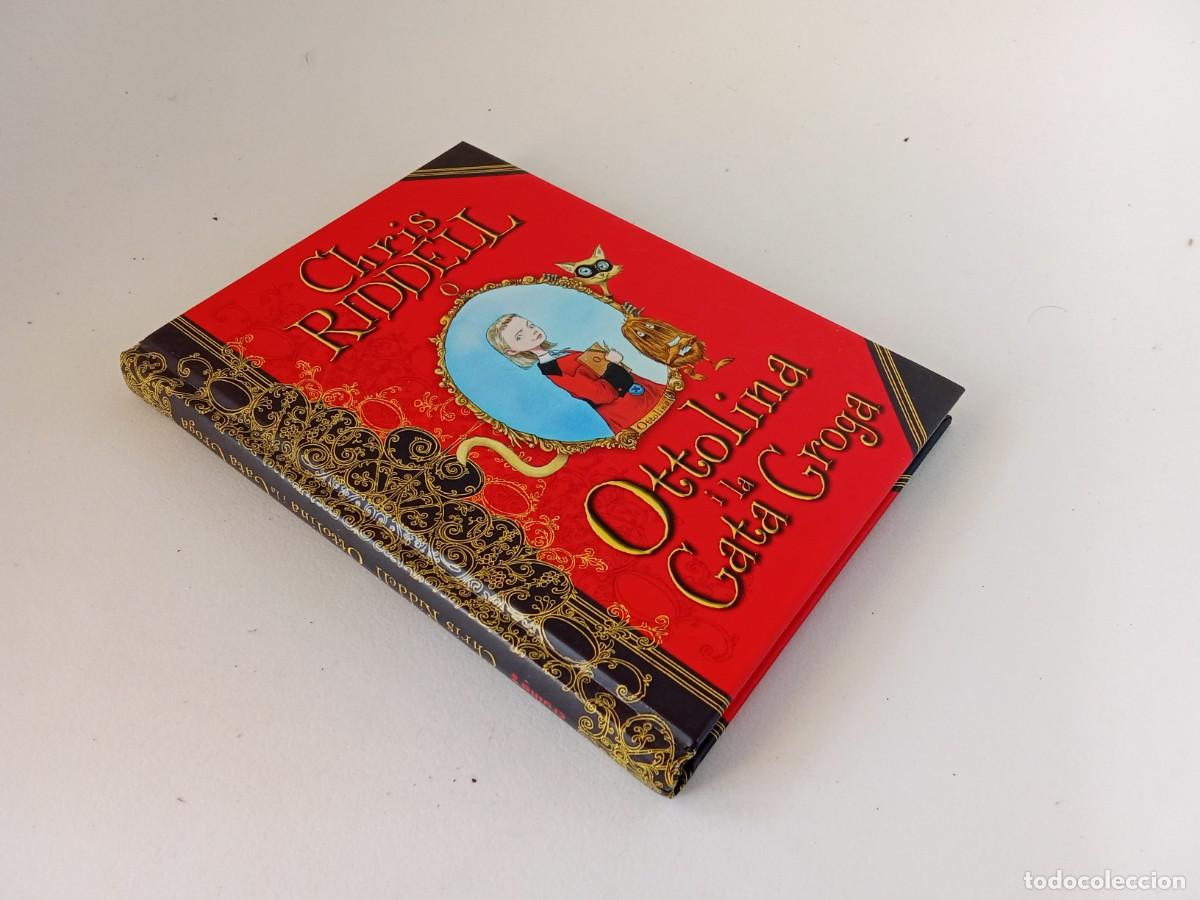 Libros de segunda mano: Chris Riddell. Ottolina i la gata Groga - Foto 2