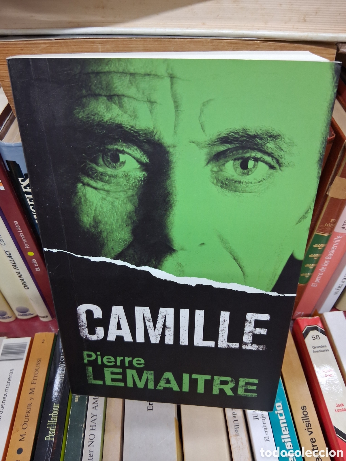 Libros de segunda mano: Camille - Pierre Lemaitre - Bromera - Catal&aacute;n