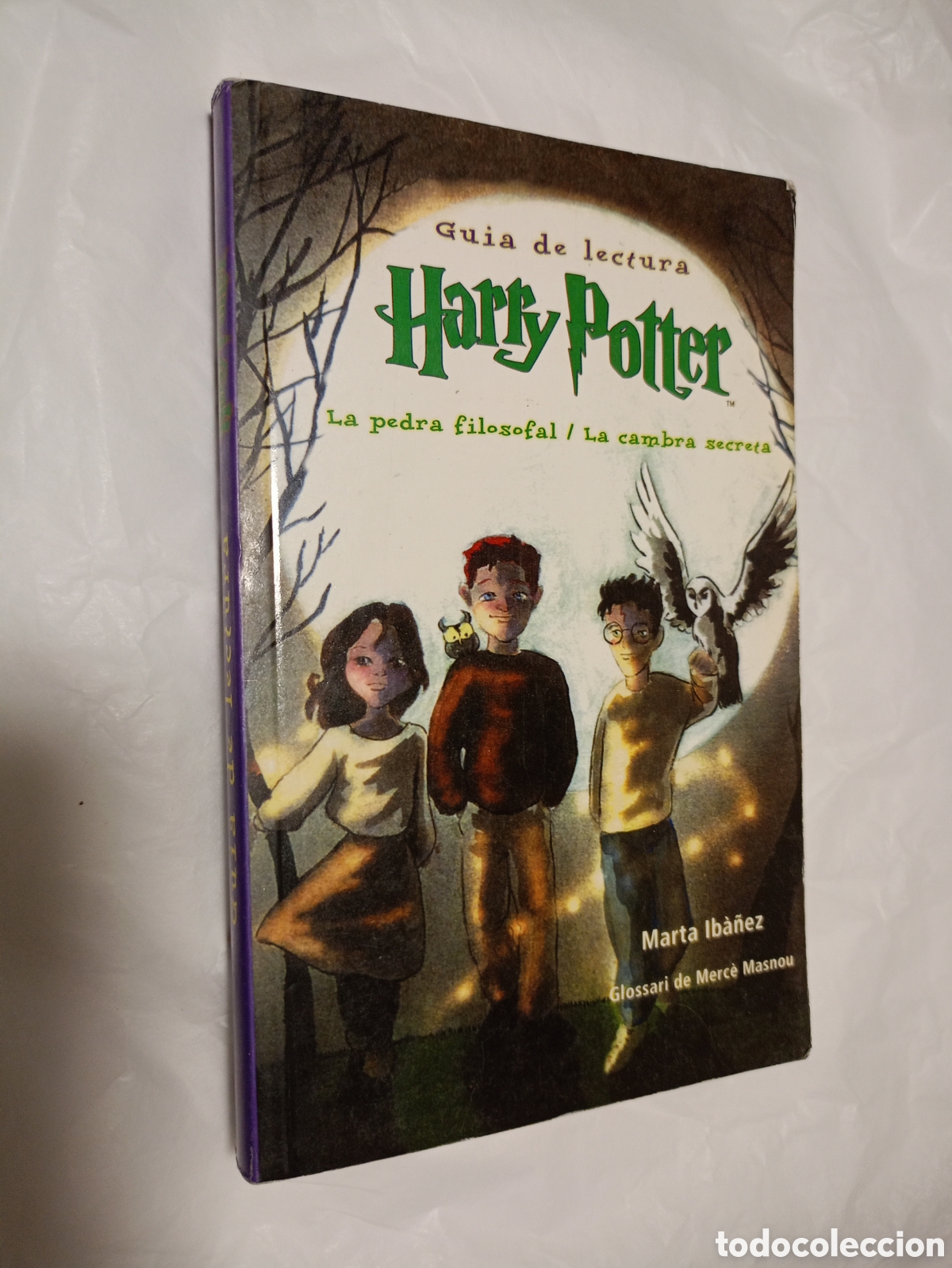 Libros de segunda mano: Guia de lectura Harry Potter la pedra filosofal la cambra secreta