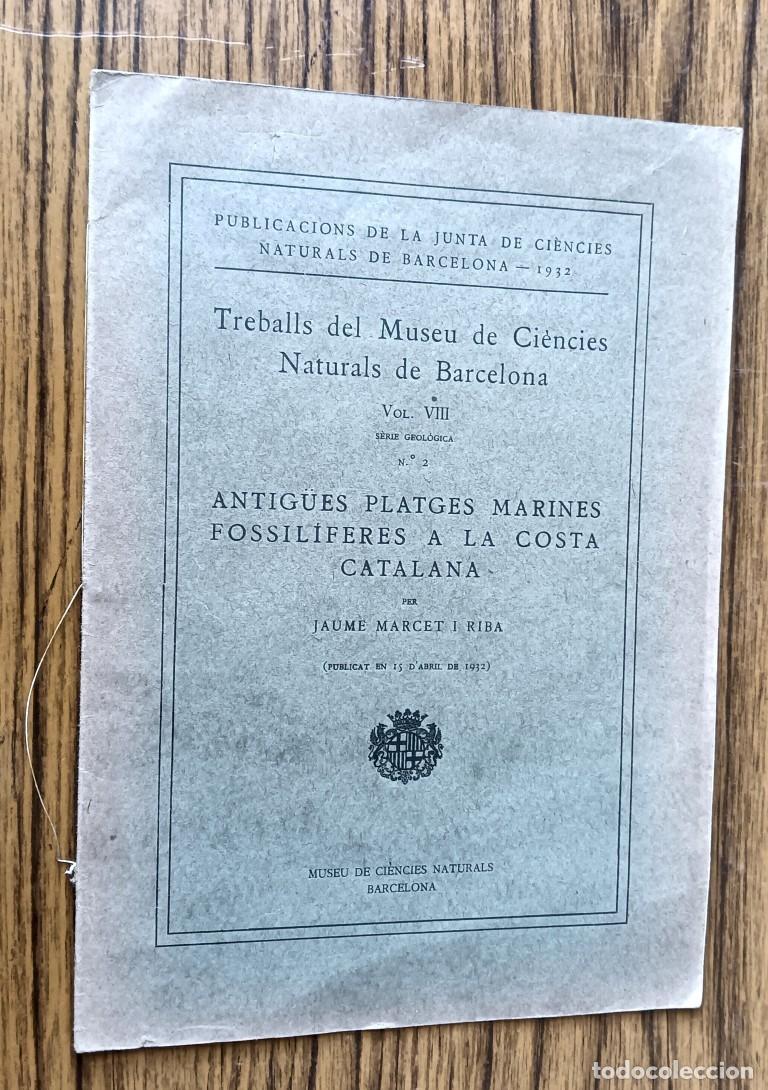 Libros de segunda mano: ANTIG&Uuml;ES PLATGE MARINES FOSSILIFERES A LA COSTA CATALANA Treballs del museu de ciencies naturals de