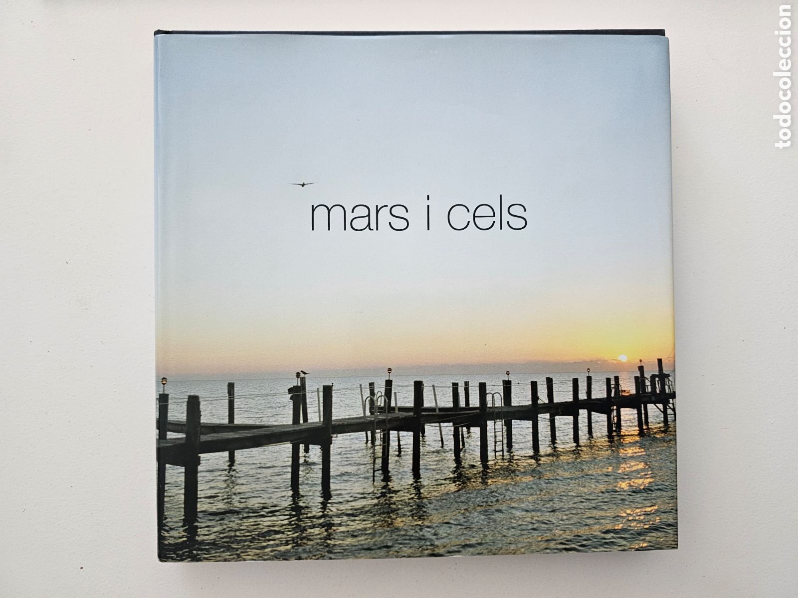 Libro en Catal&aacute;n Mars y Cels 2006 Edicions 62