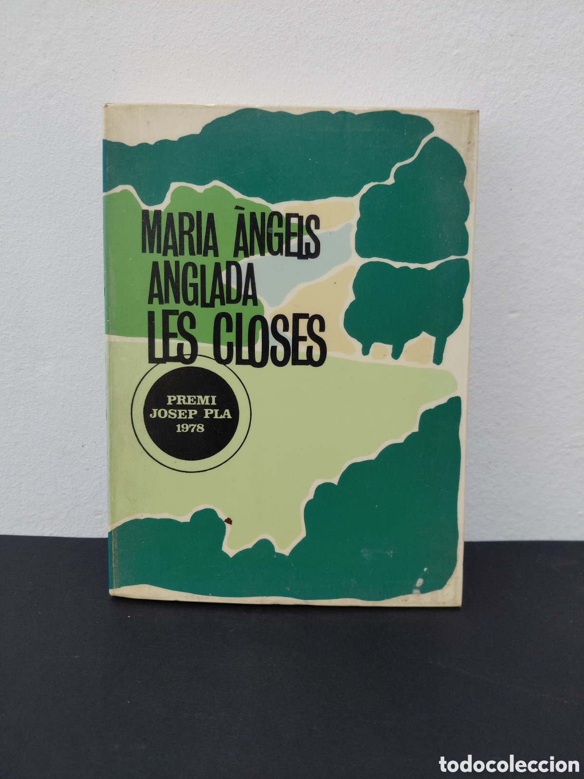 Libros de segunda mano: LES CLOSES - MARIA &Agrave;NGELS ANGLADA - EDICIONS DESTINO 1980