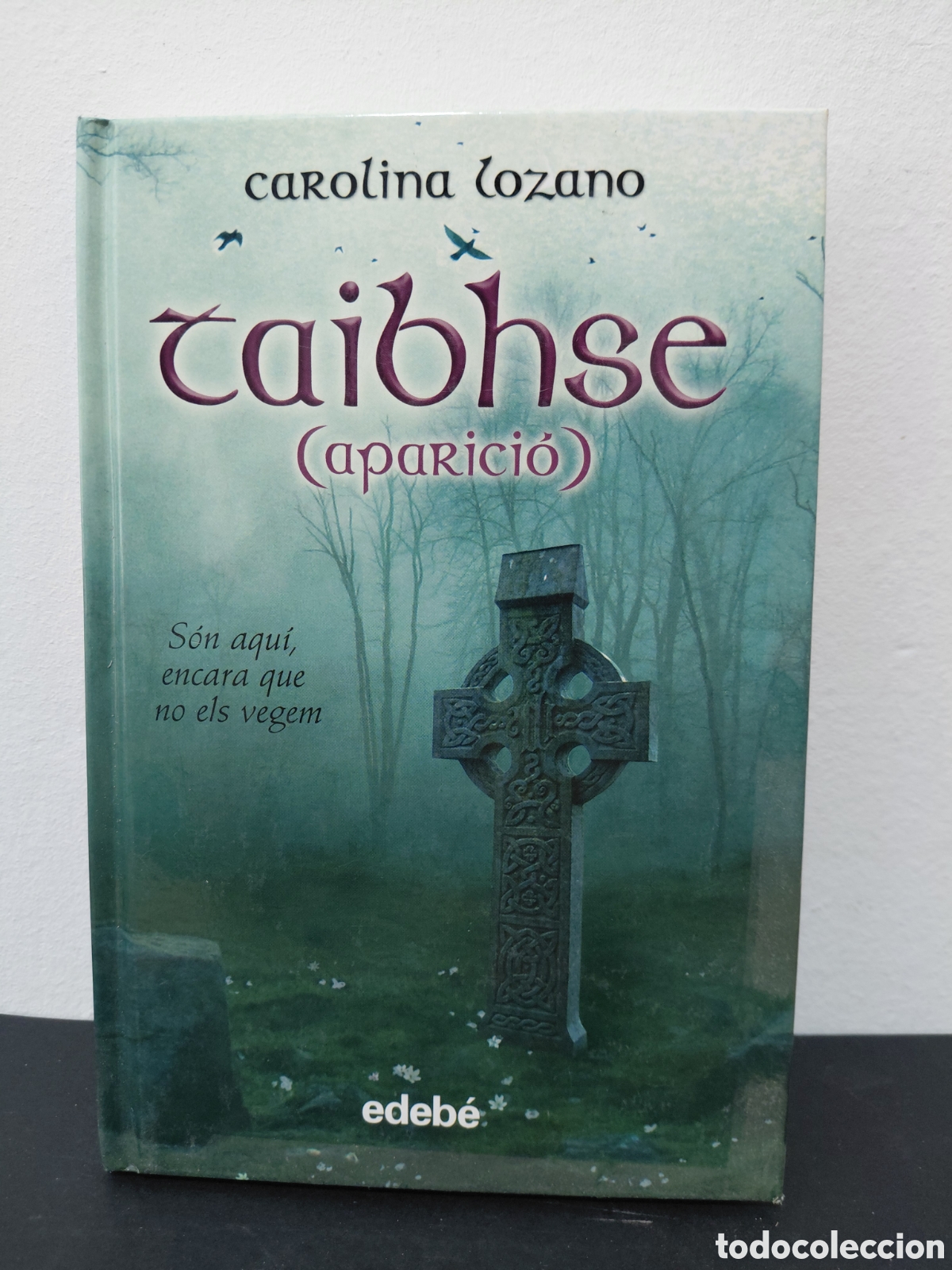 Libros de segunda mano: TAIBHSE (APARICI&Oacute;) - CAROLINA LOZANO - EDEB&Eacute; 2010