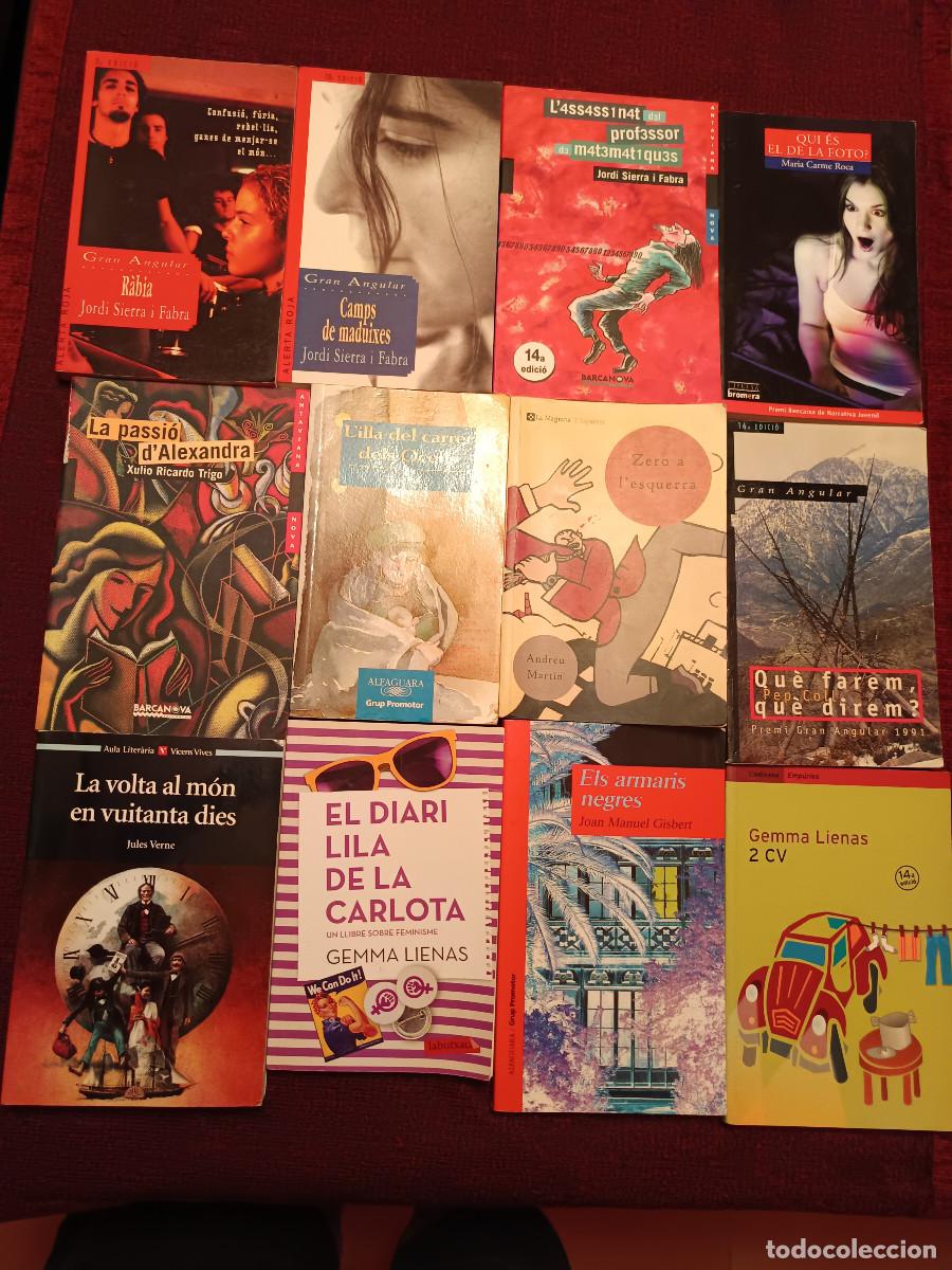 Libros de segunda mano: Pack 12 Libros Lectura ESO / Institut en Catal&agrave; (Sierra i Fabra, Lienas, Verne...). Catal&agrave;