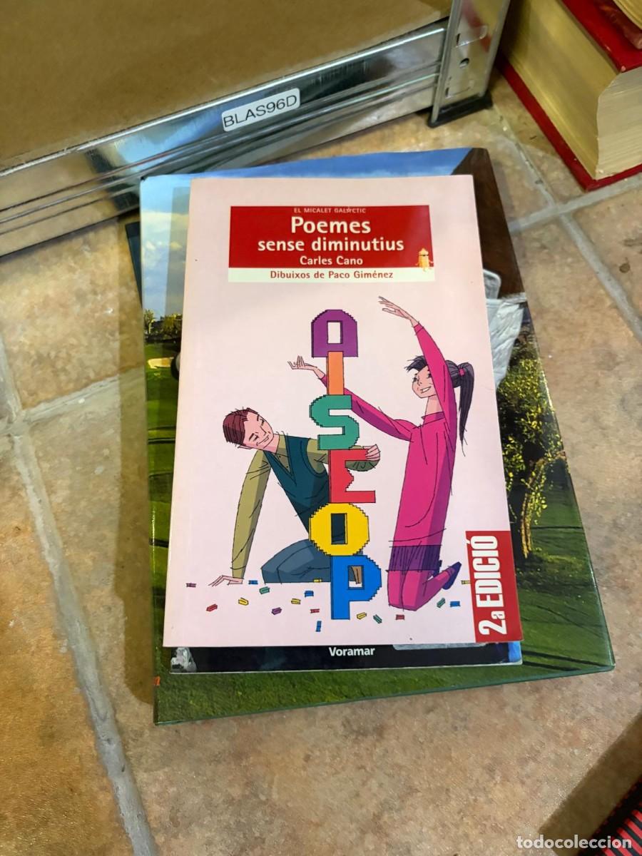 Libros de segunda mano: BLAS96D Carles Cano, Poemes sense diminutius. Voramar.