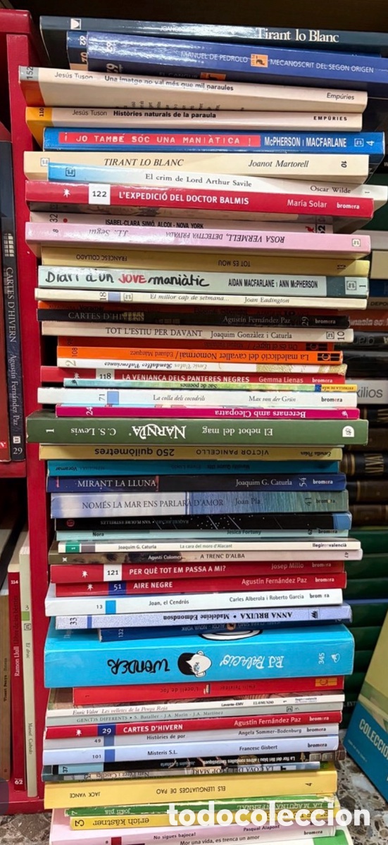 Libros de segunda mano: Lote B de unos 50 libros juveniles/infantiles en valenciano