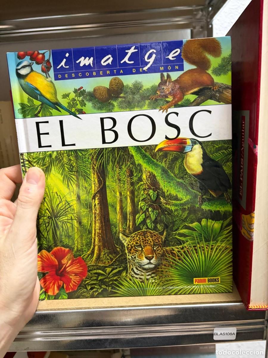 Libri di seconda mano: BLAS108A El bosc - panini