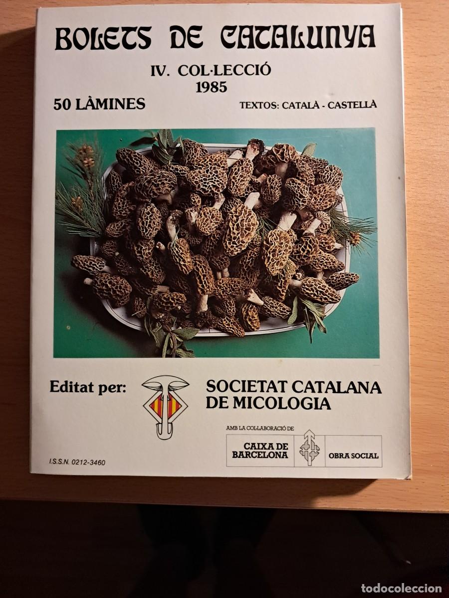 Libros de segunda mano: Llibre: BOLETS DE CATALUNYA IV COL.LECCI&Oacute; 1985 50 L&Agrave;MINES Edita: societat Catalana de Micologia