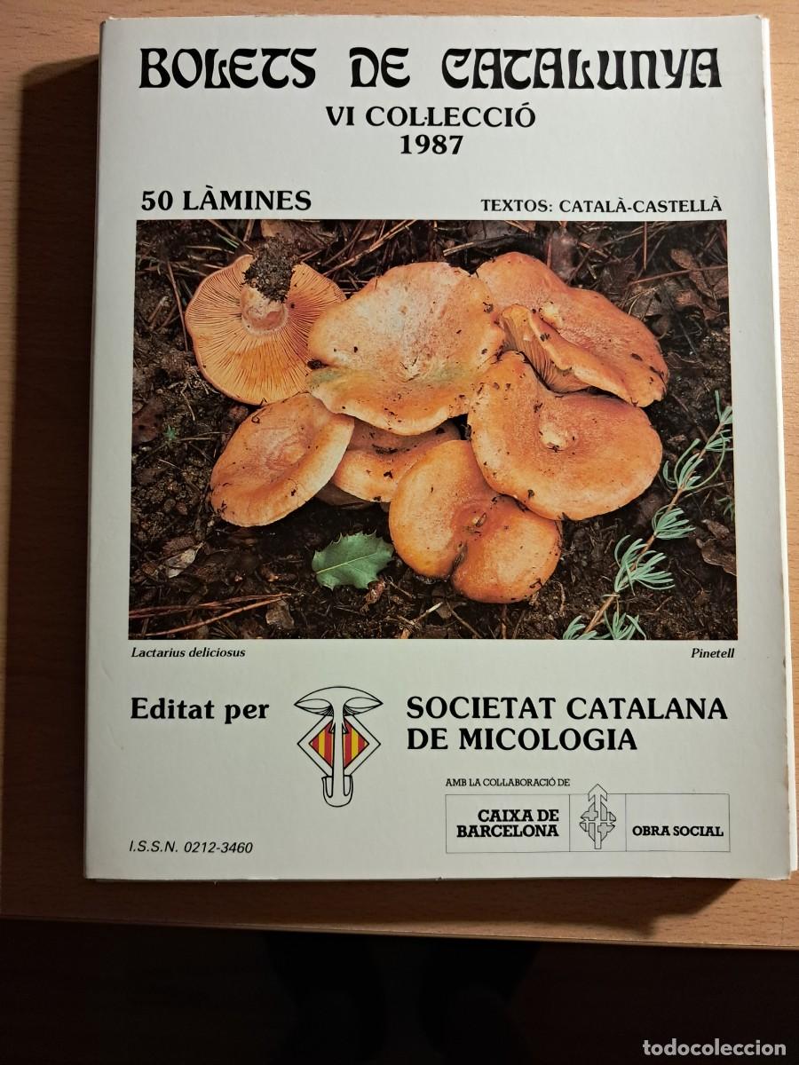 Libros de segunda mano: Llibre: BOLETS DE CATALUNYA VI COL.LECCI&Oacute; 1987 50 L&Agrave;MINES Edita: societat Catalana de Micologia