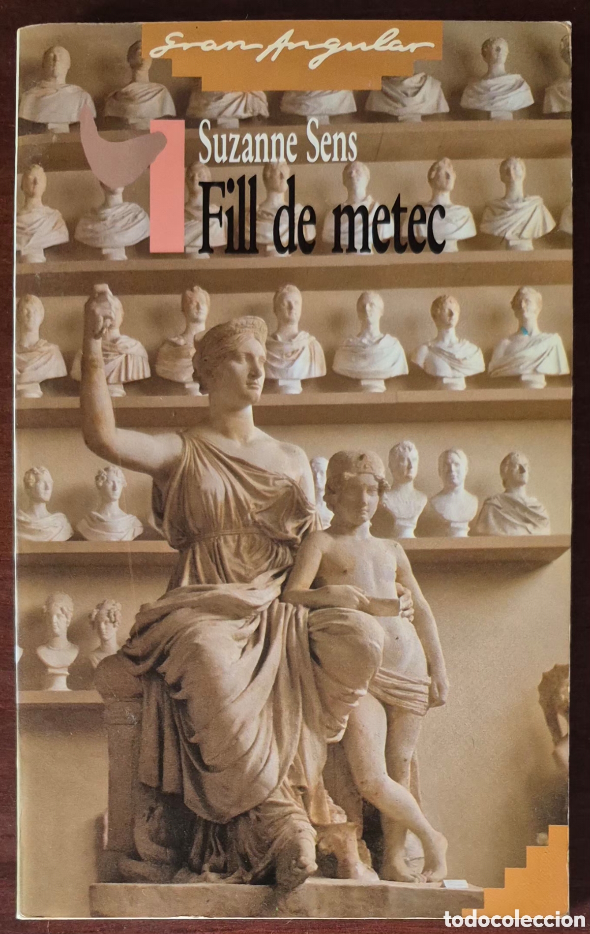 Libros de segunda mano: SUZANE SENS - FILL DE METEC