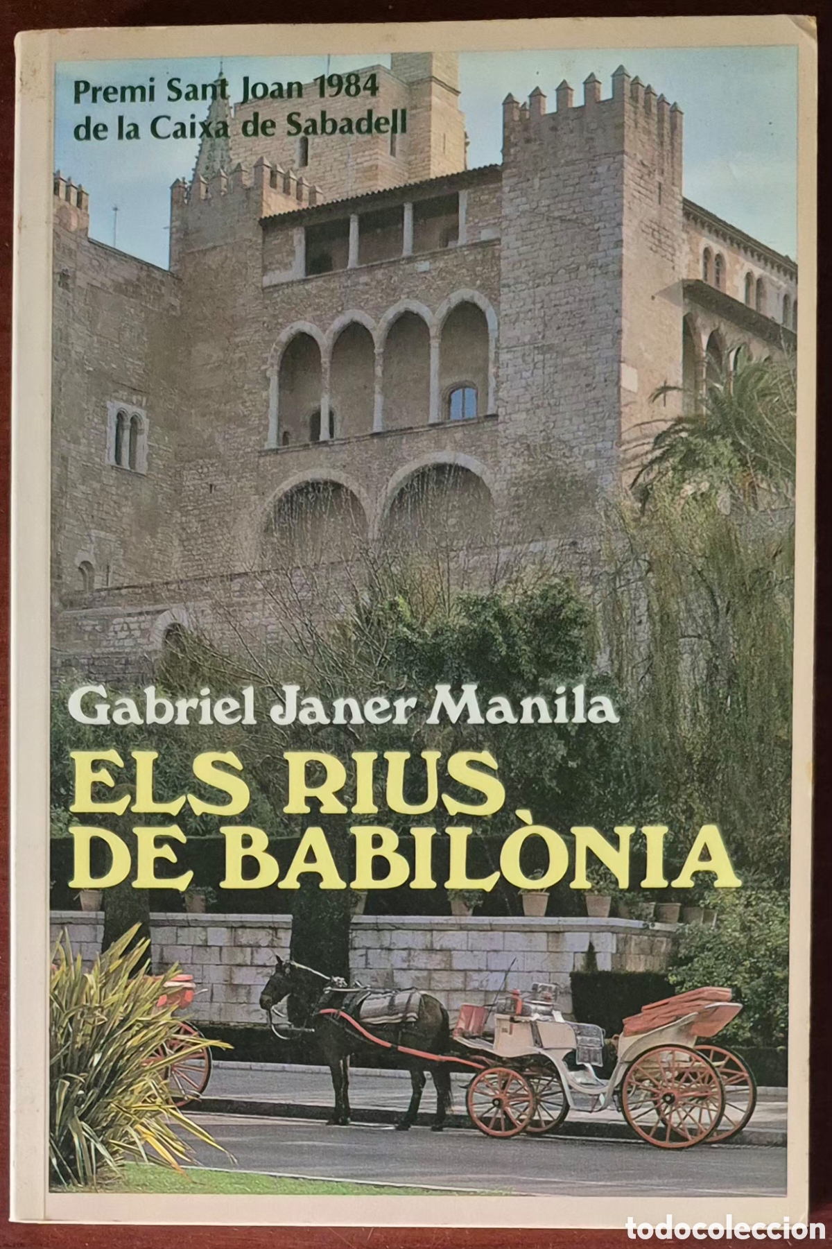 Libros de segunda mano: GABRIEL JANER MANILA - ELS RIUS DE BABIL&Ograve;NIA