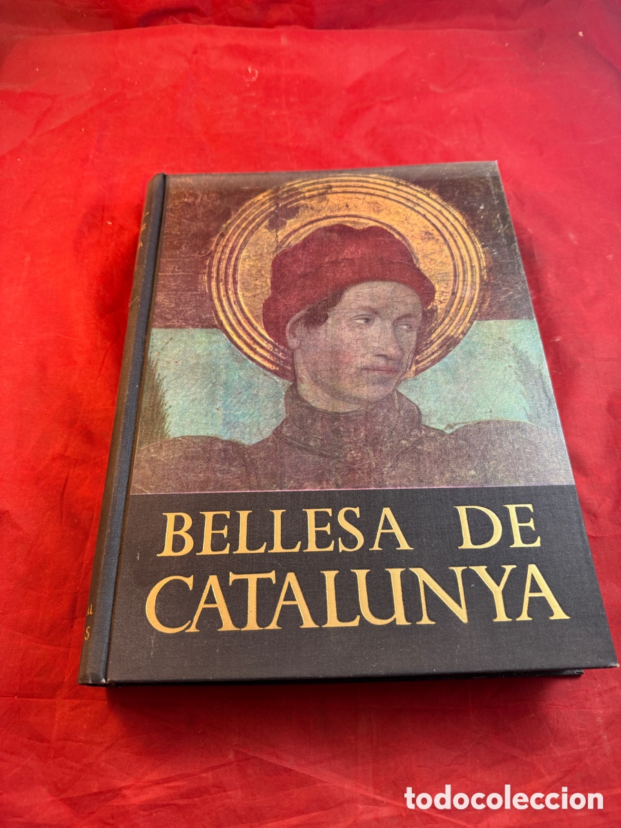 Libros de segunda mano: BELLESA DE CATALUNYA EDITORIAL AEDOS