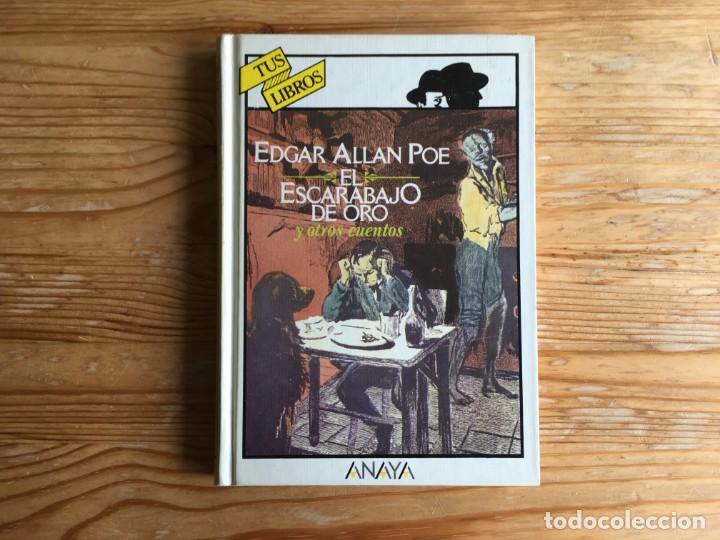 El Escarabajo De Oro Preguntas Y Respuestas
