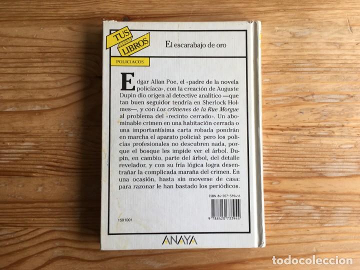 El Escarabajo De Oro Preguntas Y Respuestas