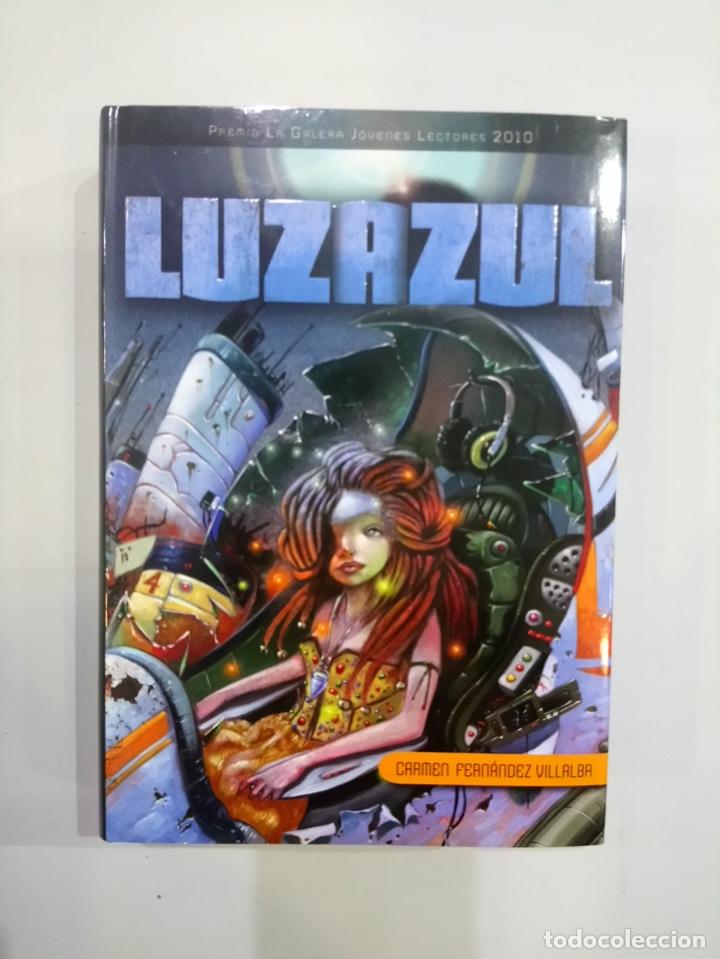 Gebrauchte B&uuml;cher: Carmen Fern&aacute;ndez Villalba - Luzazul