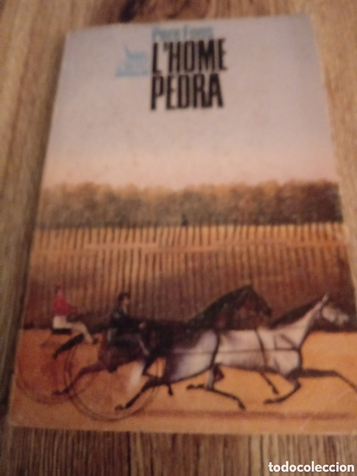 Second hand books: L'Home Pedra de Pere Fons