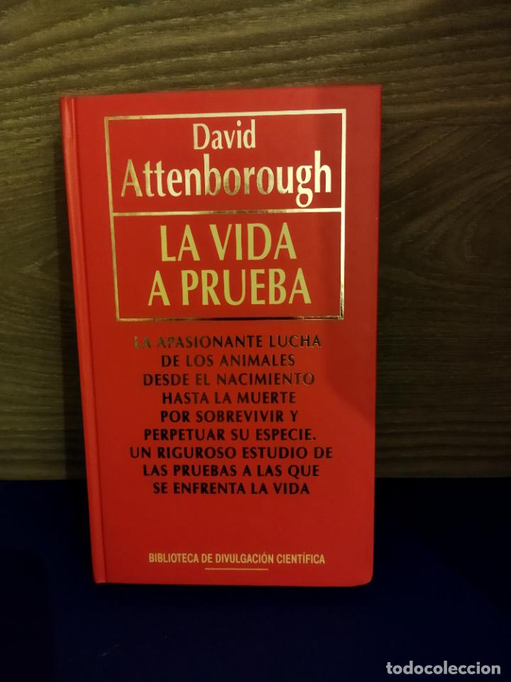 Libros de segunda mano: La vida a prueba - Foto 1