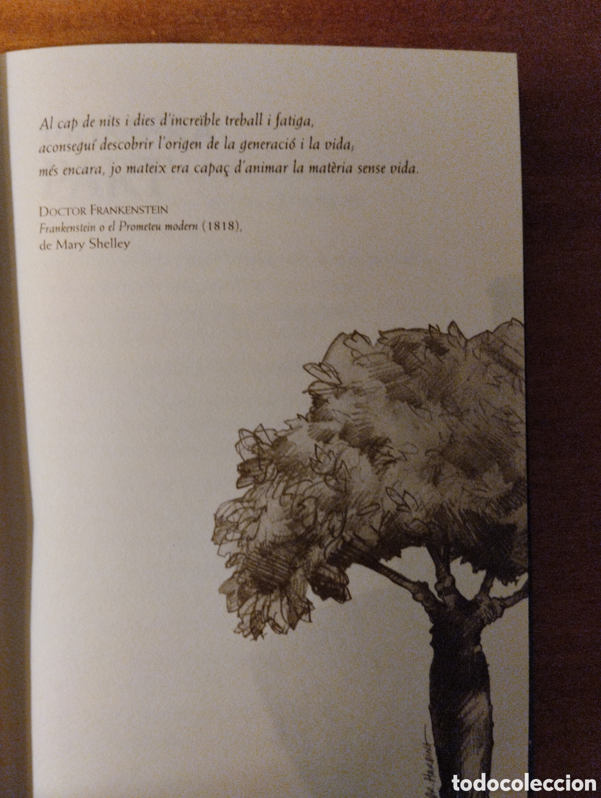 Libros de segunda mano: Atherton, La casa del poder, Patrick Carman - Foto 7