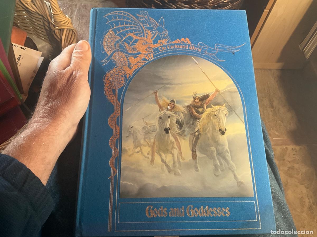 Gebrauchte B&uuml;cher: The Enchanted World: gods and goddesses time -ilustraciones maravillosas mundo magico