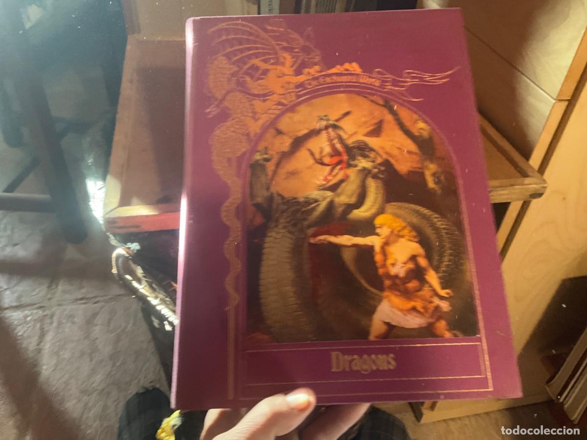 Gebrauchte B&uuml;cher: The Enchanted World dragons dragones time -ilustraciones maravillosas mundo magico