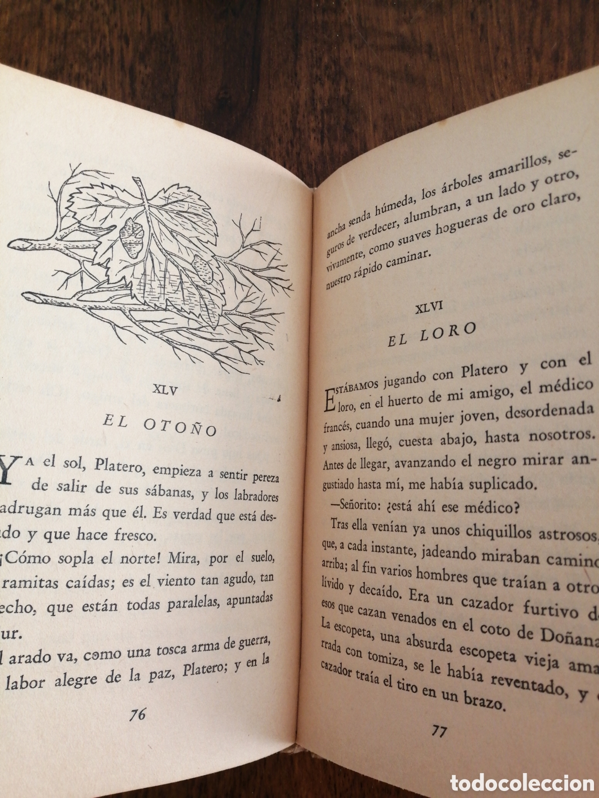 Libros de segunda mano: PLATERO Y YO - Foto 4