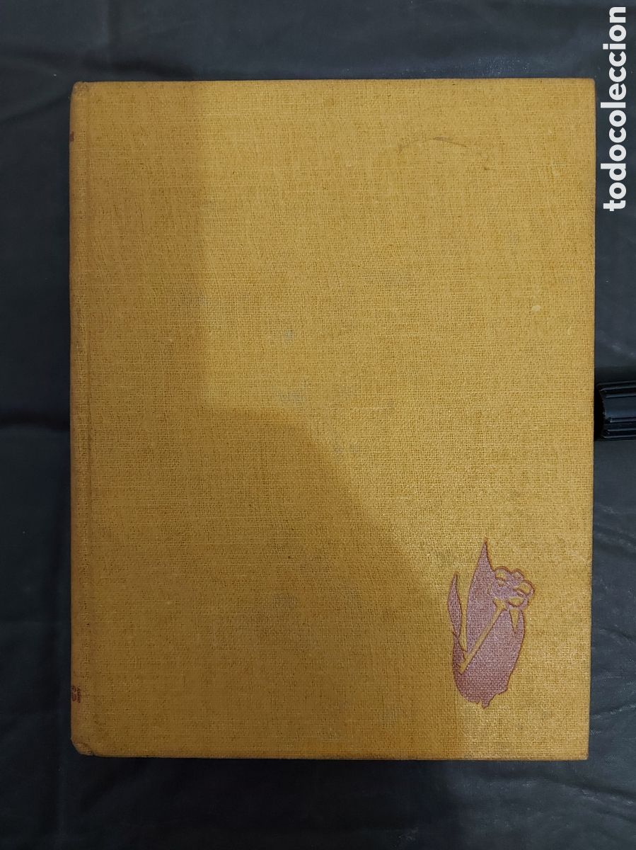 Libros de segunda mano: ADOLFO - Foto 1