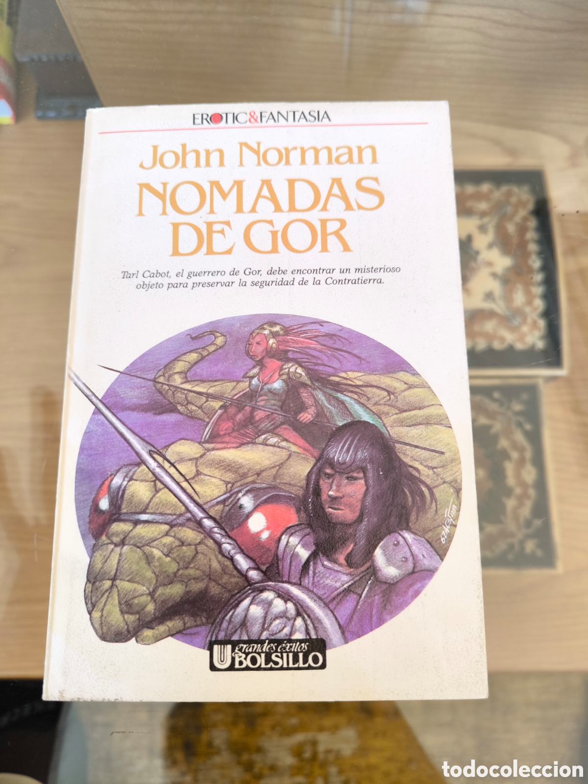Libros de segunda mano: N&oacute;madas de Gor. Norman - Foto 1