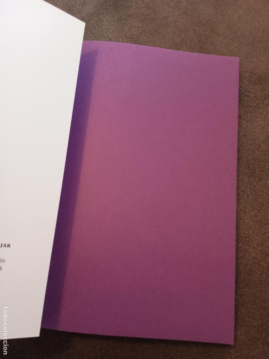 Libros de segunda mano: LA CATEDRAL. CESAR MALLORQUI. GRAN ANGULAR. - Foto 3