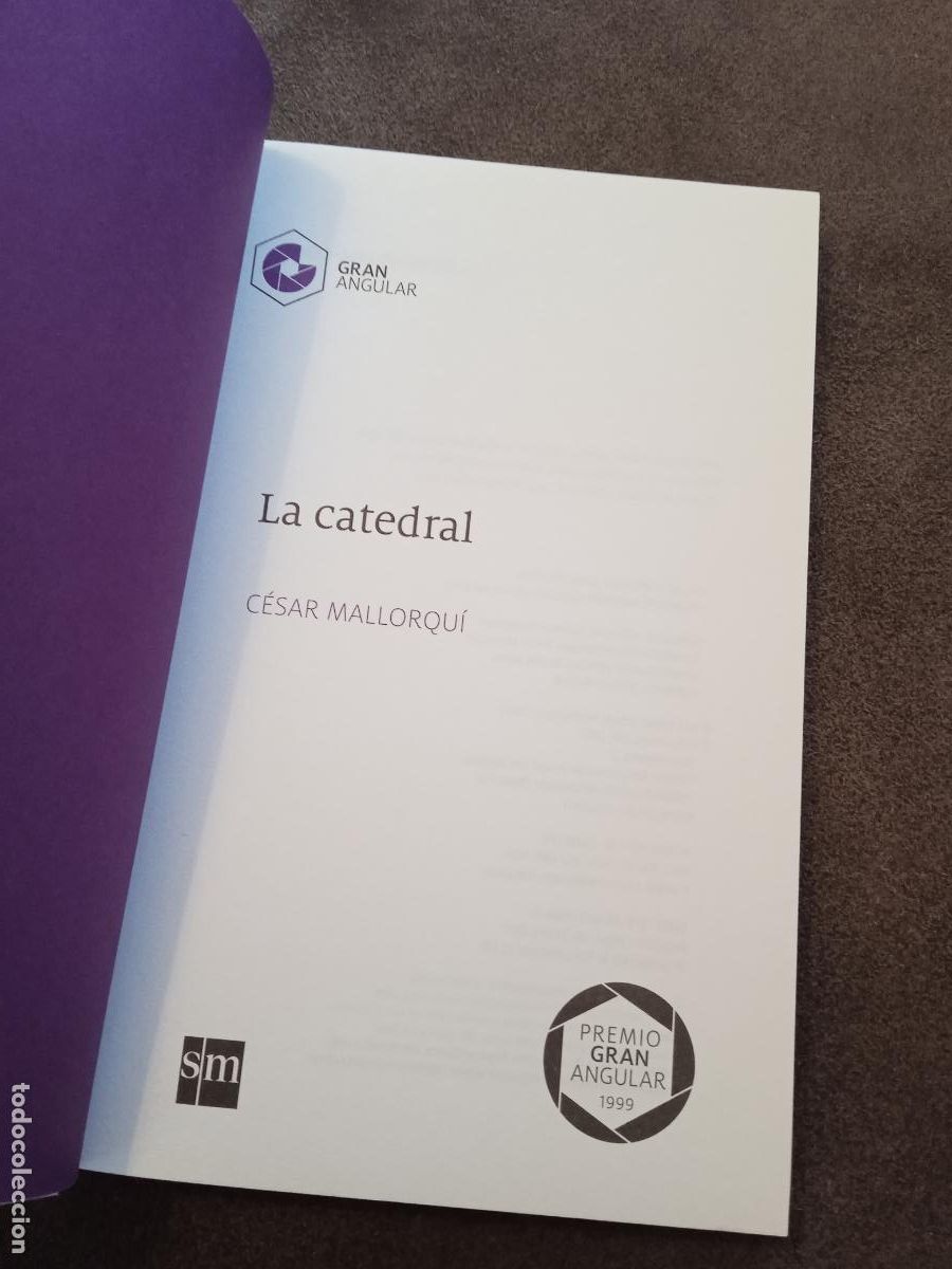 Libros de segunda mano: LA CATEDRAL. CESAR MALLORQUI. GRAN ANGULAR. - Foto 4