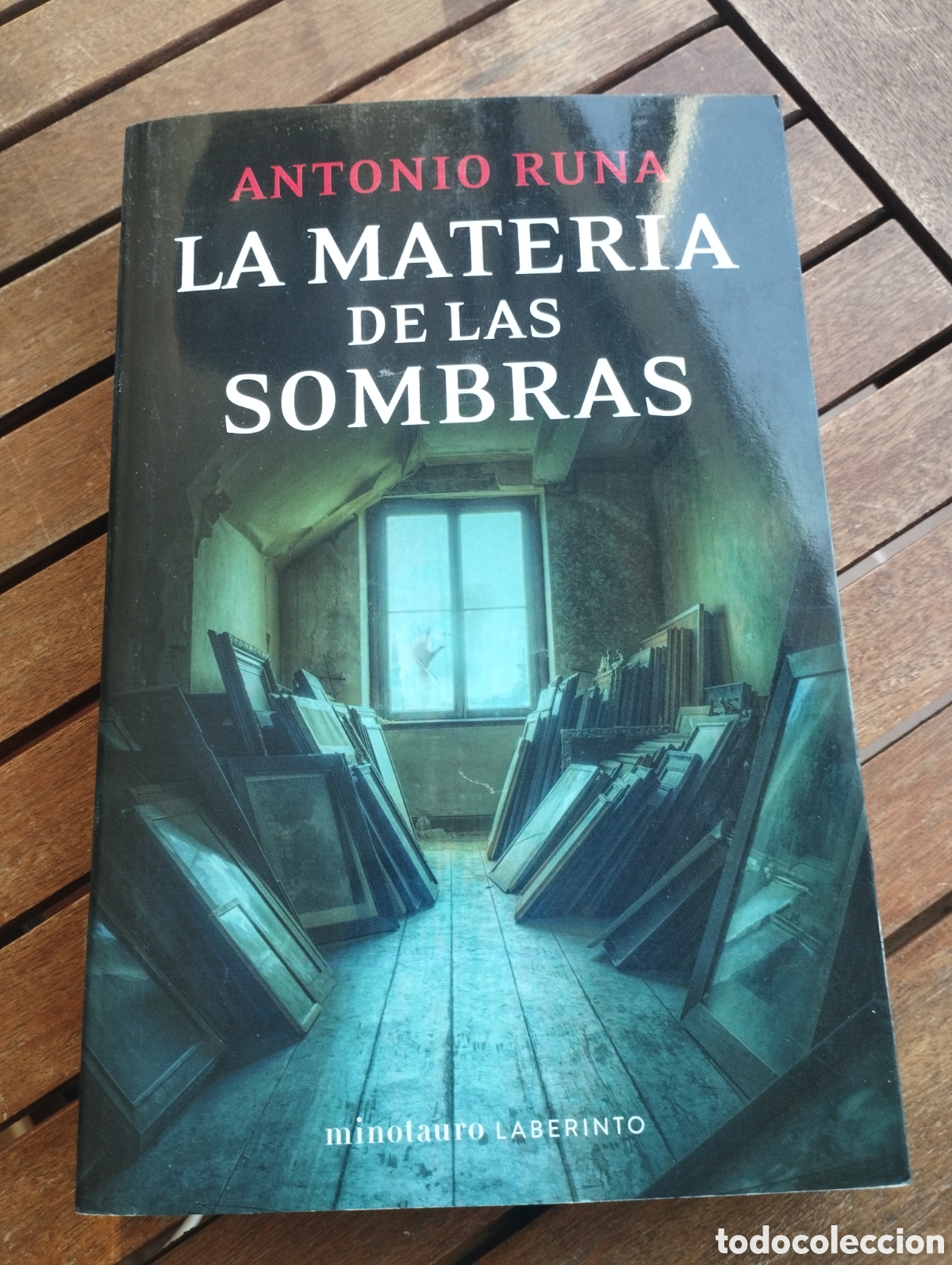 Libros de segunda mano: La materia de las sombras Antonio Runa MINOTAURO 2024 Juvenil novela misterio negra thriller