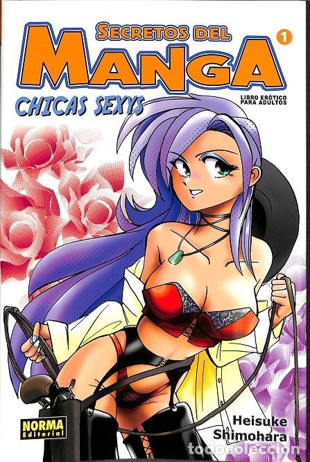 Gebrauchte B&uuml;cher: SECRETOS DEL MANGA 1, CHICAS SEXYS - SHIMOHARA, HEISUKE - NORMA EDITORIAL - 2004 - BIBLIOTECA CREATI