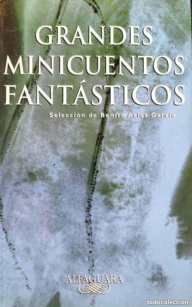 Libros de segunda mano: Grandes minicuentos fant&aacute;sticos - Varios autores - Alfaguara - COMO NUEVO