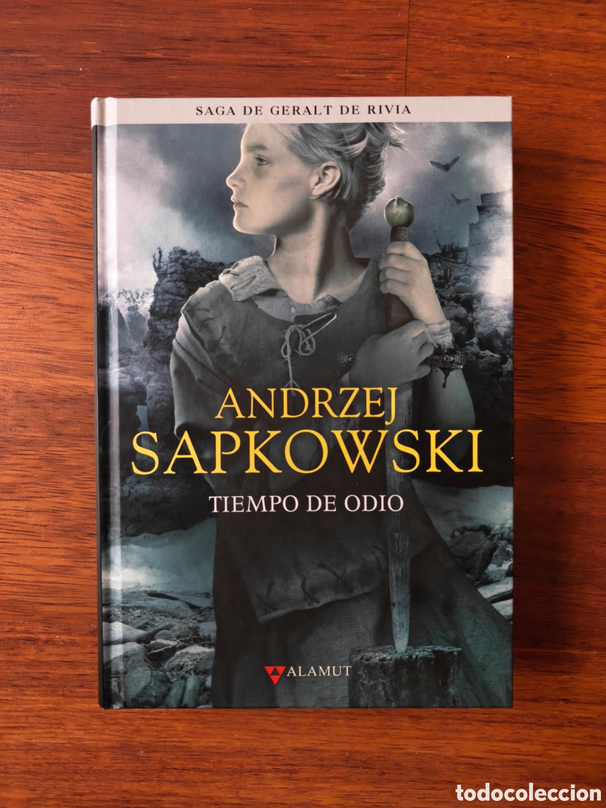 Libros de segunda mano: Tiempo de odio. Geralt de Rivia. The Witcher. Andrzej Sapkowski.