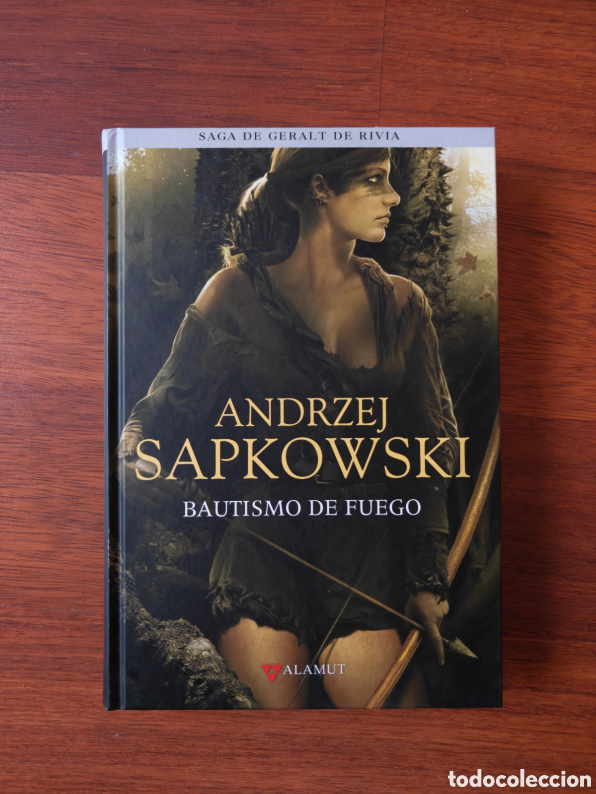 Libros de segunda mano: Bautismo de fuego. Geralt de Rivia. The Witcher. Andrzej Sapkowski.
