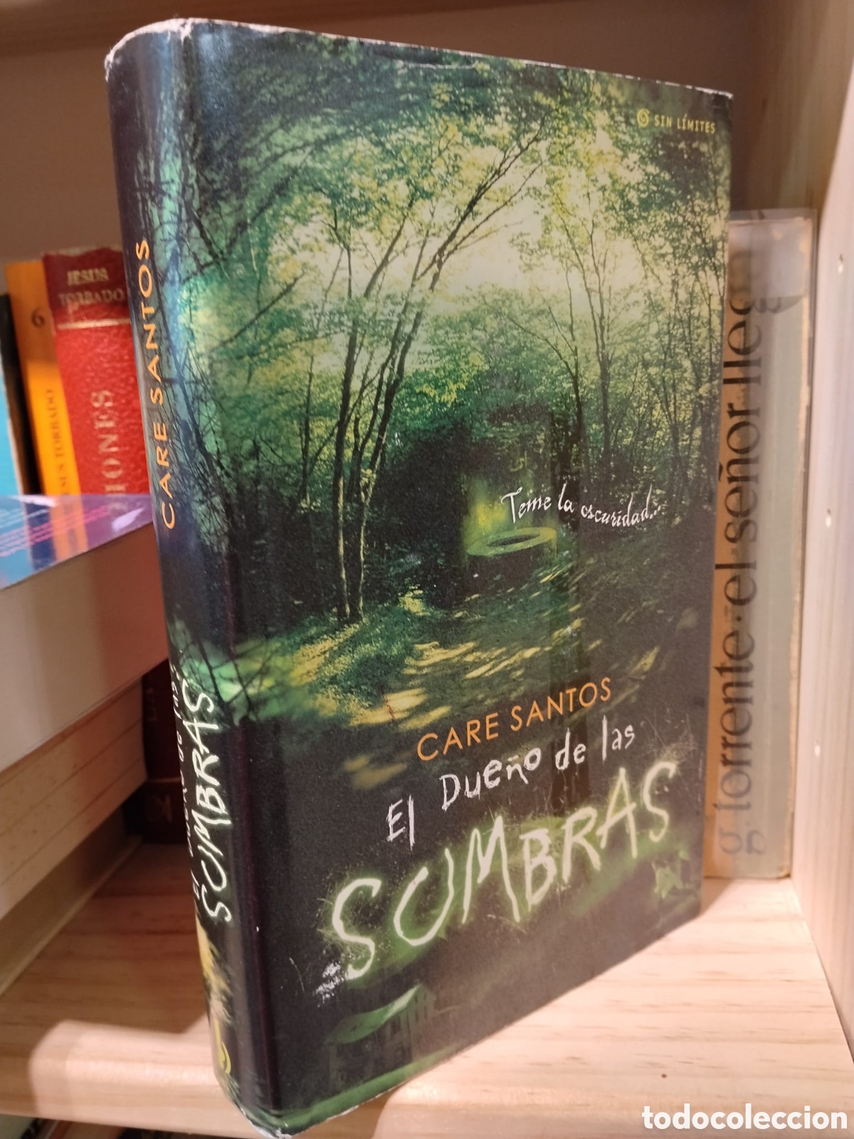Gebrauchte B&uuml;cher: El due&ntilde;o de las sombras - Care Santos